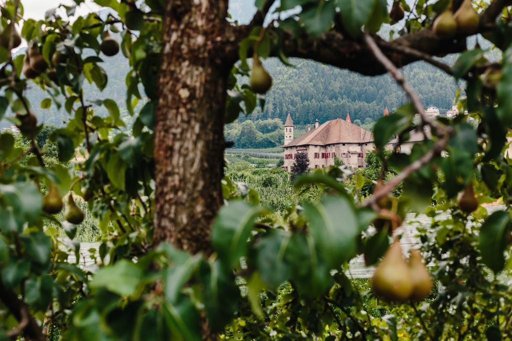 Отель Felsenegg Наллес Экстерьер фото