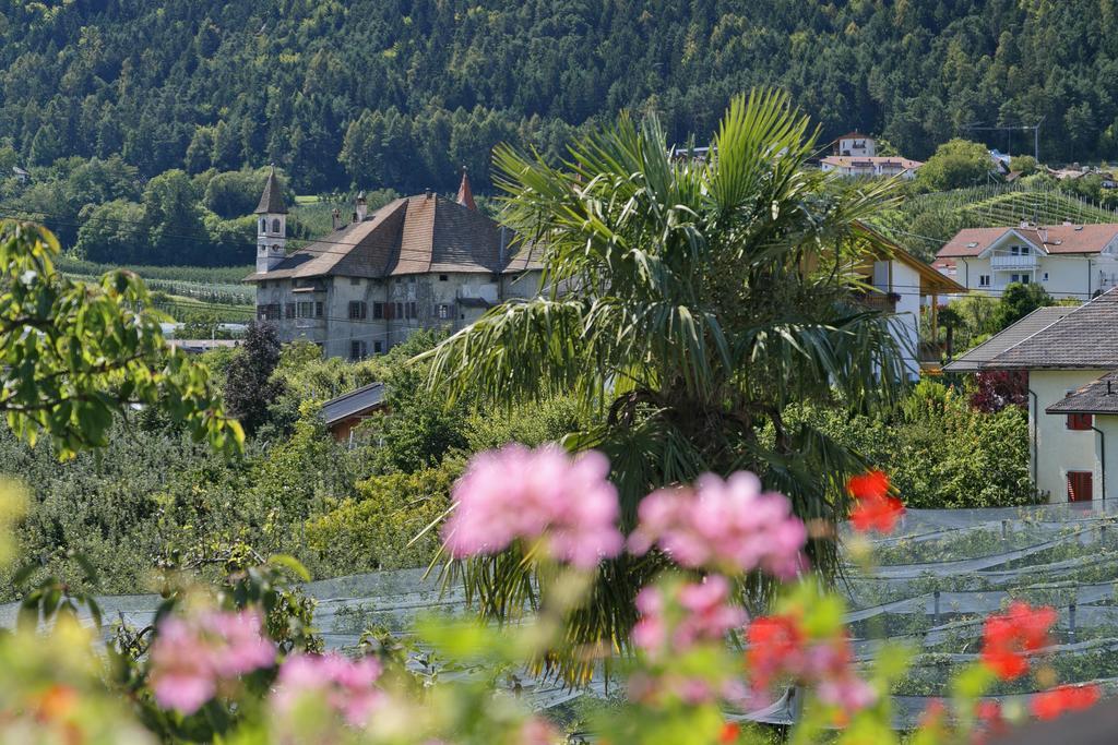 Отель Felsenegg Наллес Номер фото